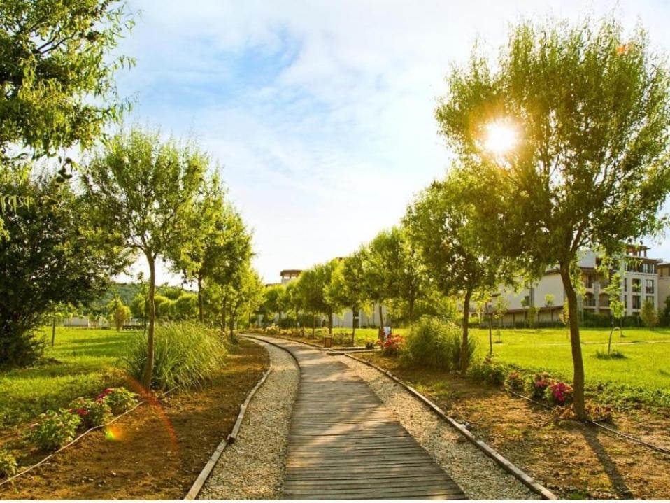Green Life Studio Σωζόπολη Δωμάτιο φωτογραφία